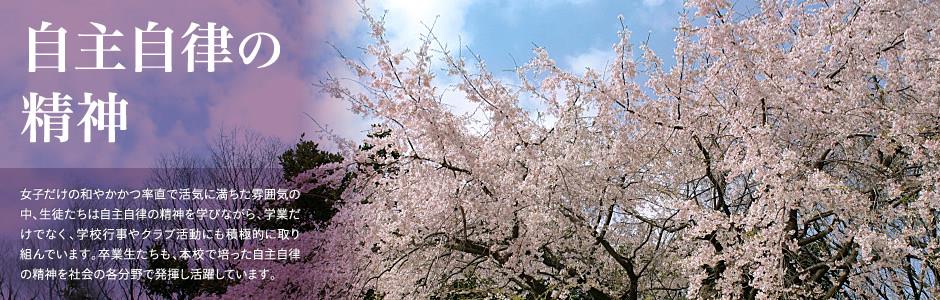 万盛手机版娱乐平台